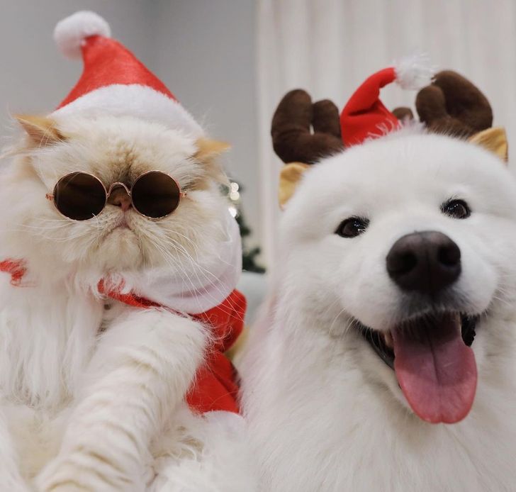 d172ba5ceba6c2f3b20f3db113