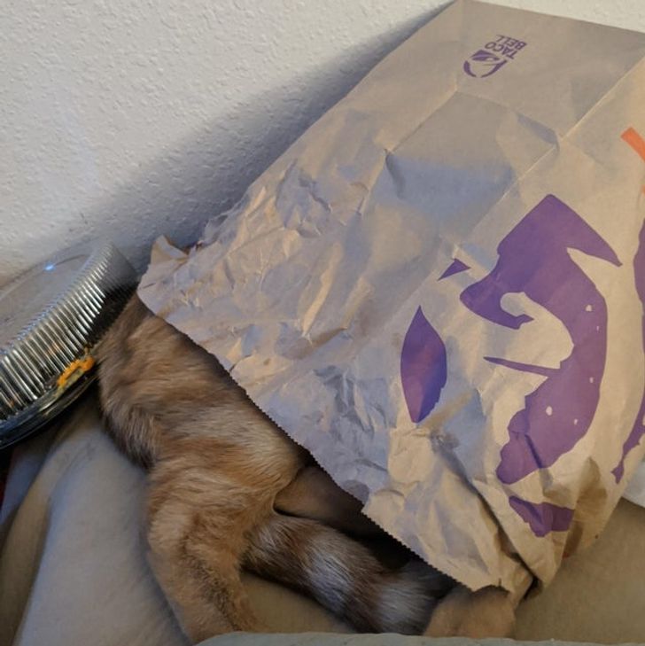 d174c45a64addf57da90900050