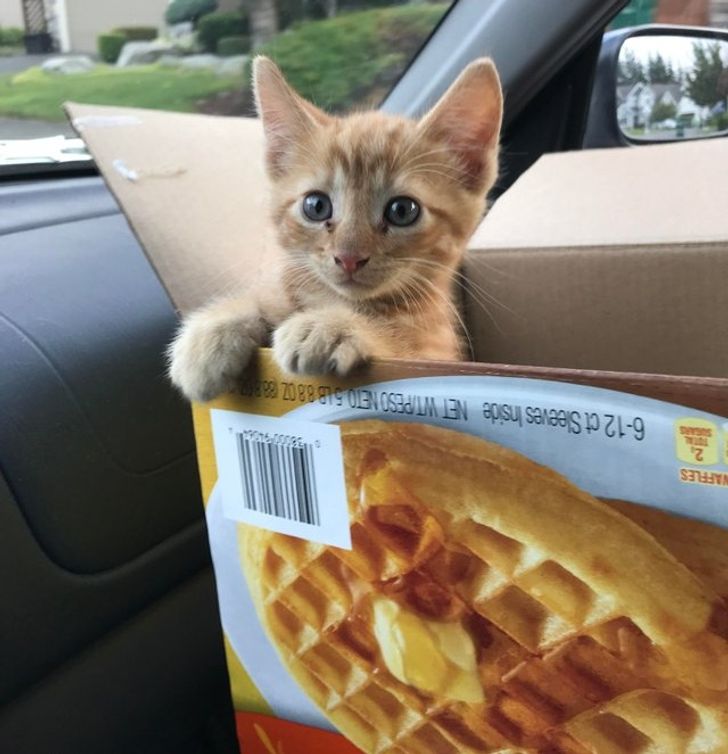 d1794153829b5a61eb0338f61d