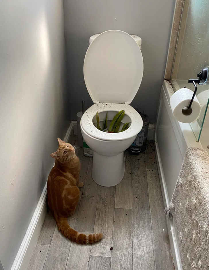 d17a165fbcaf41ad49ff64d1fe