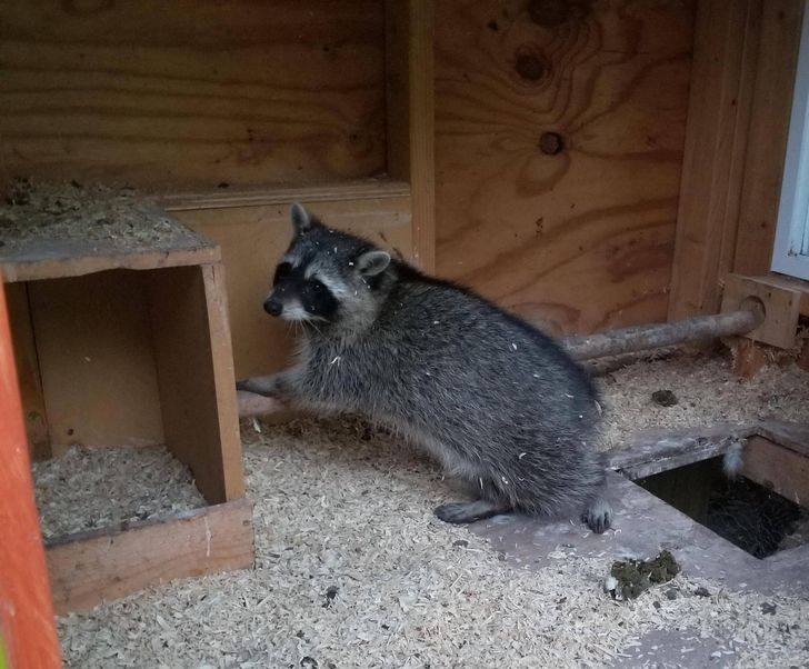 d17e7057d4824e24d1f8ccb22b