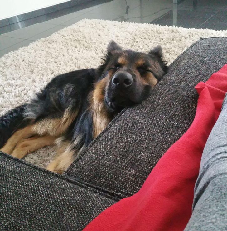 d17f2f5064a6abb7869f82ca6f