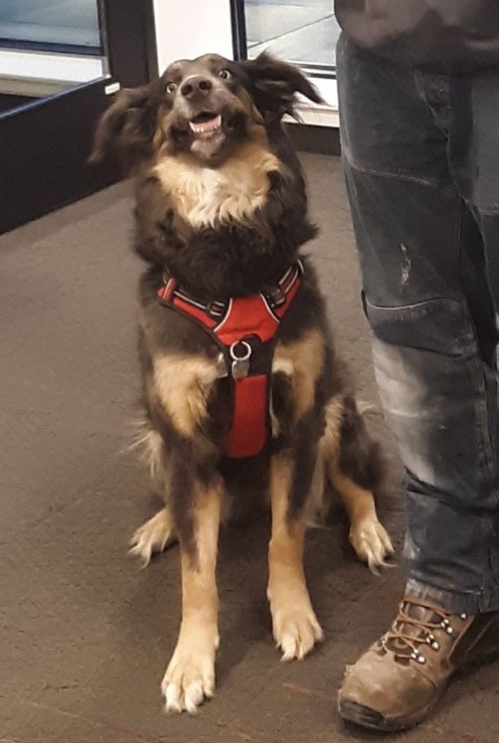 d18d5055559e13d00a2f58a1d9-1