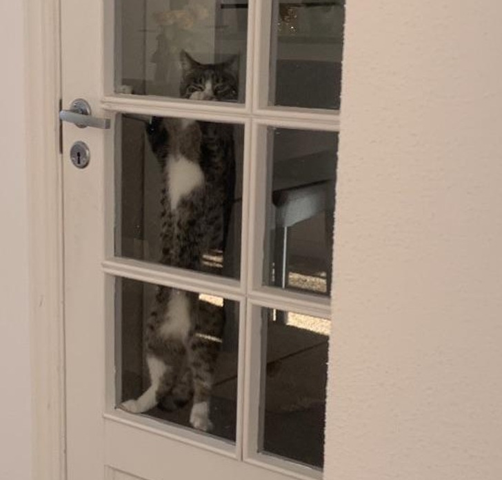 d19709500bae3c68651b1069e0