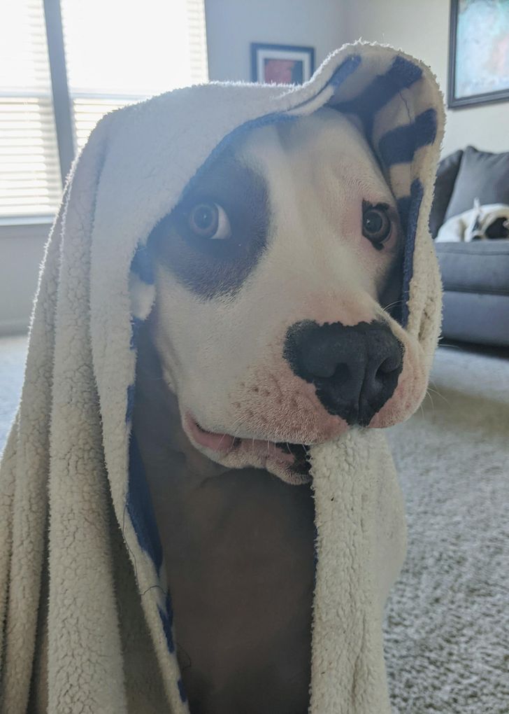 d1977c5075895e0dd40a95570b