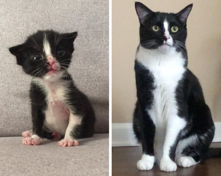 d197ac55dc99316184ceadcd2d