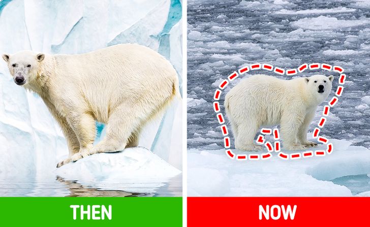 d1a0c6582fad88068e06911c9a