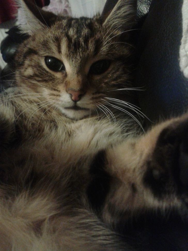 d1a3125916901af86c2b91d791