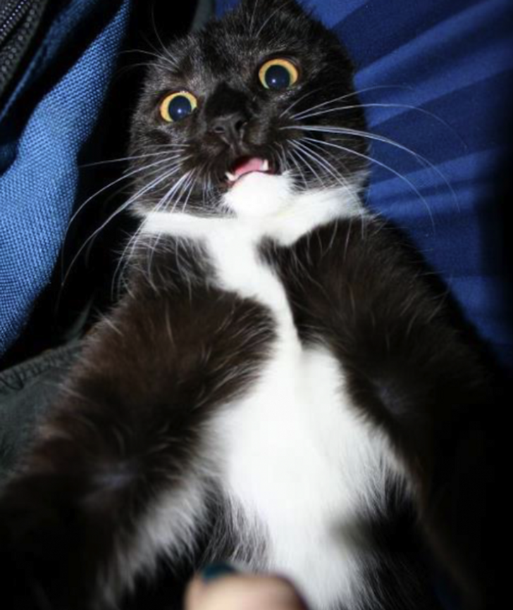 d1a46954daa2cb4f2a25dae7e9