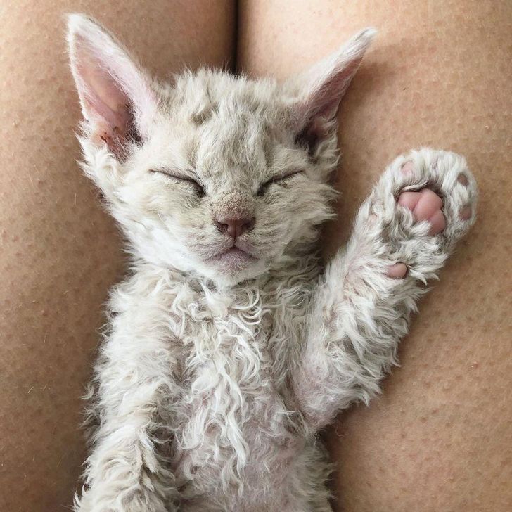 d1a4a65c3d919e82687444e30b