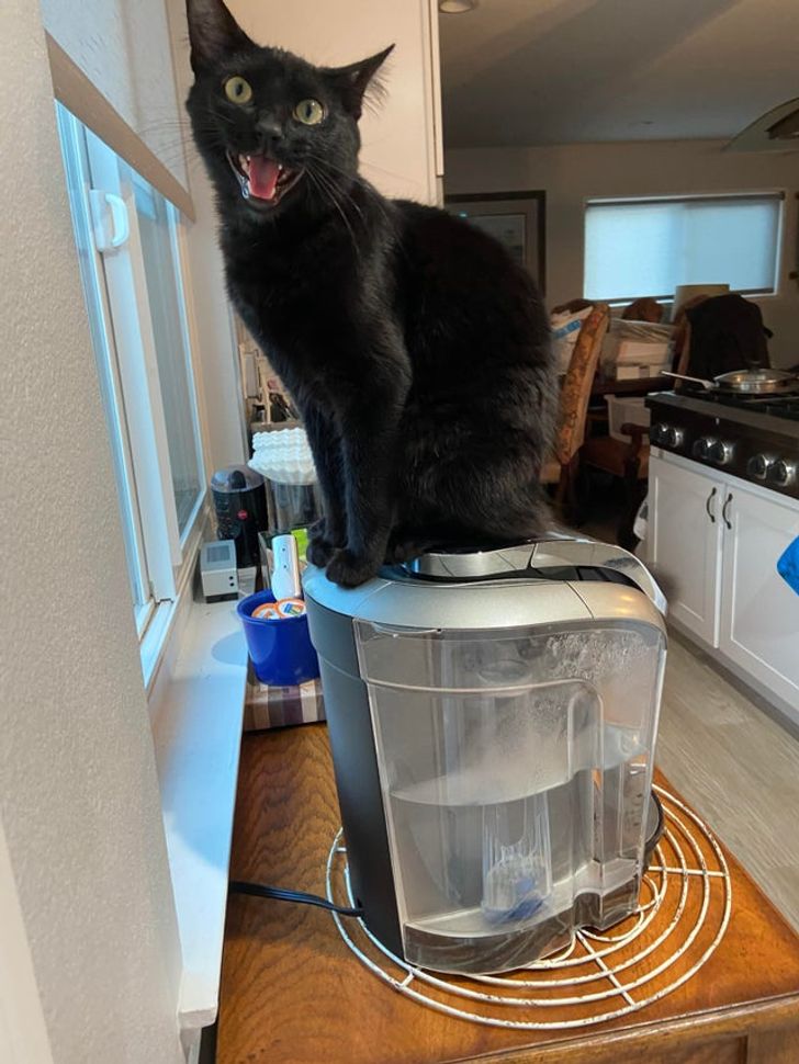 d1b6ee5de0984a4056b943f28c