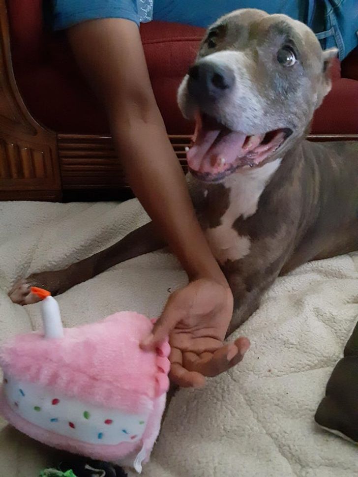 d1c0325094af0c25d00e45326b