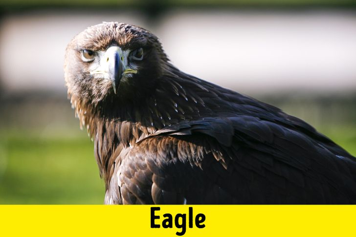 d1cb5a55d28044166213a78a0c