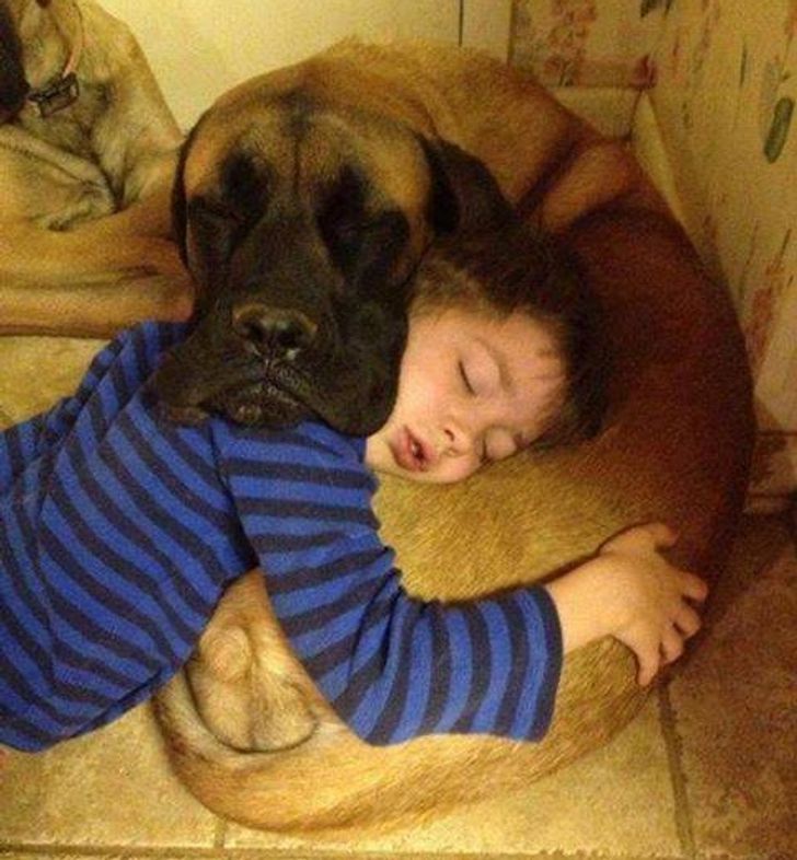 d1cd3b5935a1e23f3093b91ad4