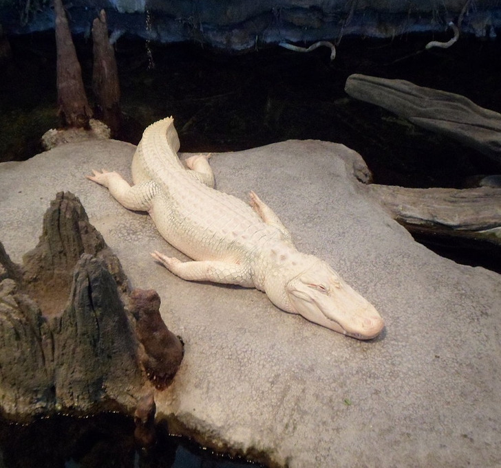 d1d61e5f9ea50ca53bcf098247