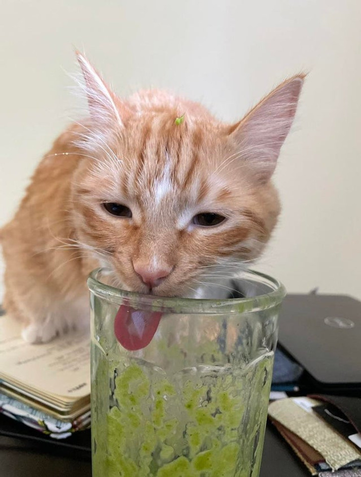 d1d76452e9adcdf50cb9012780 d1d76452e9adcdf50cb9012780