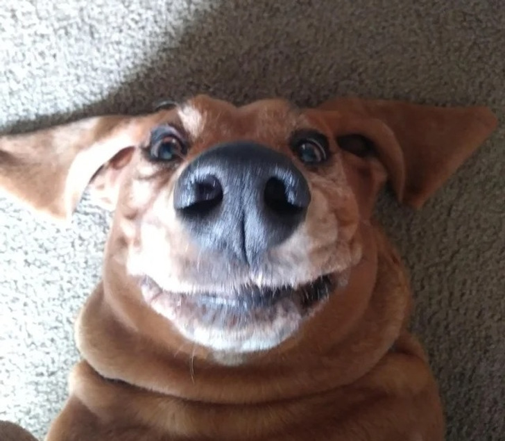 d1da345be2bd9d4aad36525e15