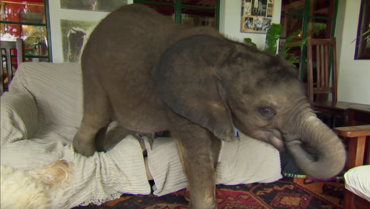 d1dc5a5747af3f547ca8de2c1a