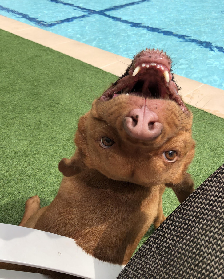 d1e1105059bebbae06f4677140