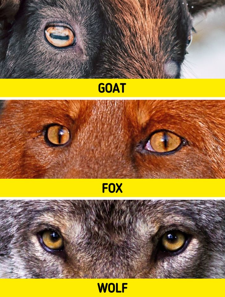 d1e6a157ae9d6abf84e2c4ec02