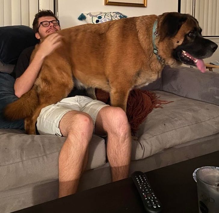 d1e8bb52658a12669328e1b699