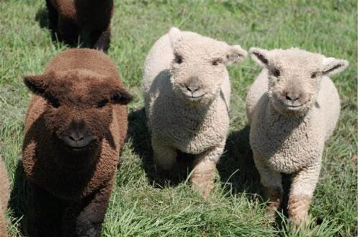 d1e93d5da599b73457191a2e23