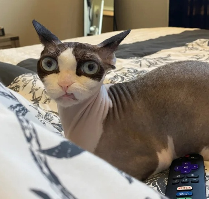 d1ec505b1bb715efa826b9fa22