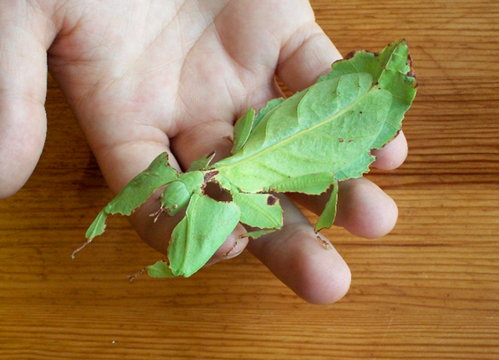 d1f2105d5cb9836d24e1c62e69