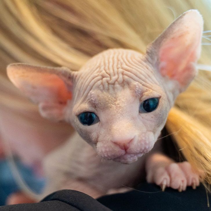 d1f8a75c4896212be4c62161c7