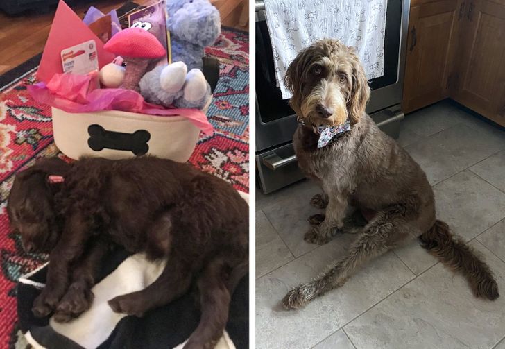 d206205872ad8b654d6c739ea0