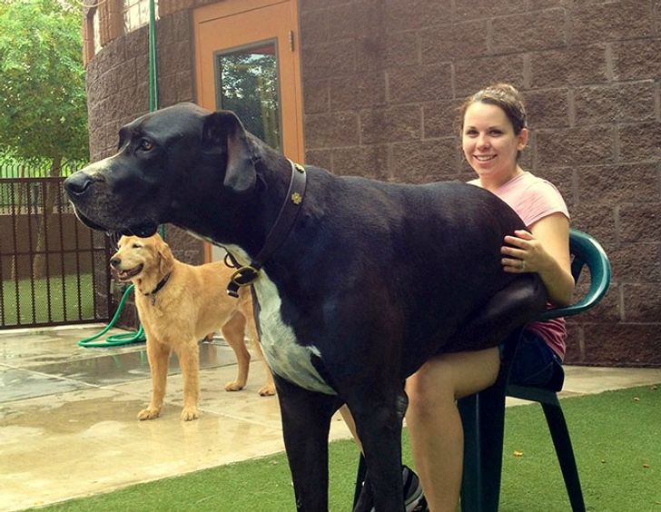 d2091f514b8eefeeefcd7e534e