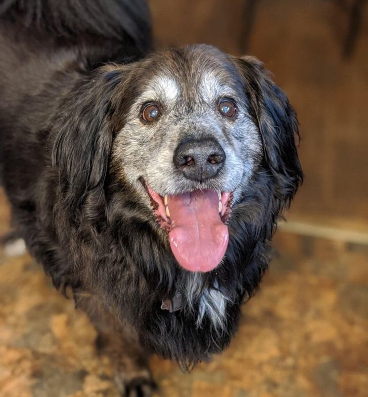 d20a735394b90295838c713e0b