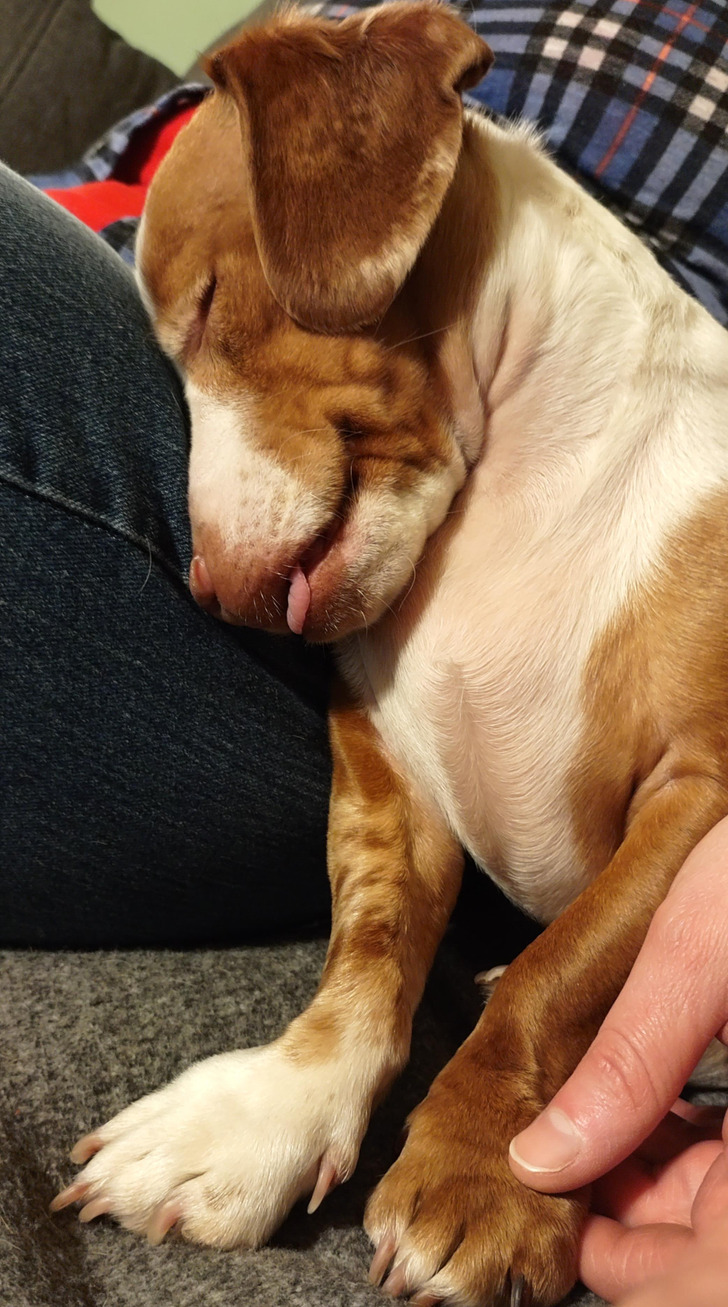 d20ab655418e8478852a18082b