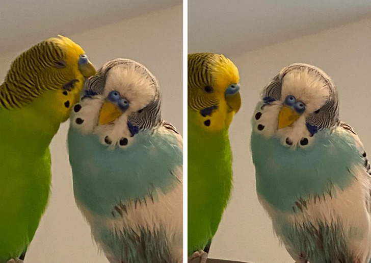 d211bc50e581648debbcc22b64