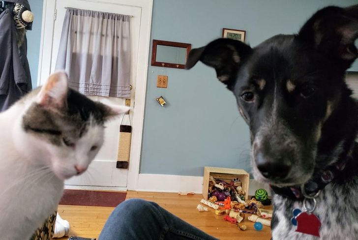 d215835409aab1c7d481fd1d50