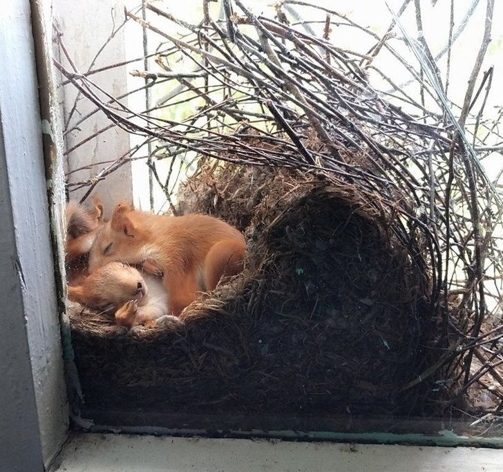 d21acf544492086b79881042f5