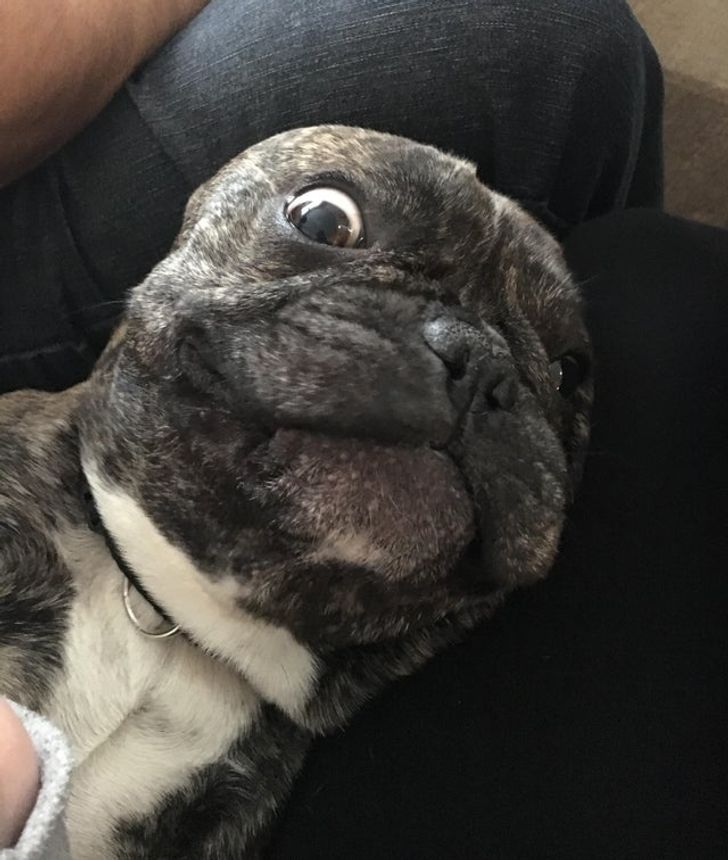 d21f815ca484836dd7f17caee0