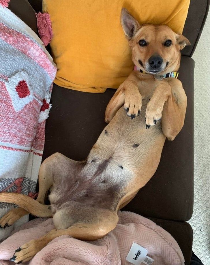 d220b15b3fb4b350e8f7b1c9ff