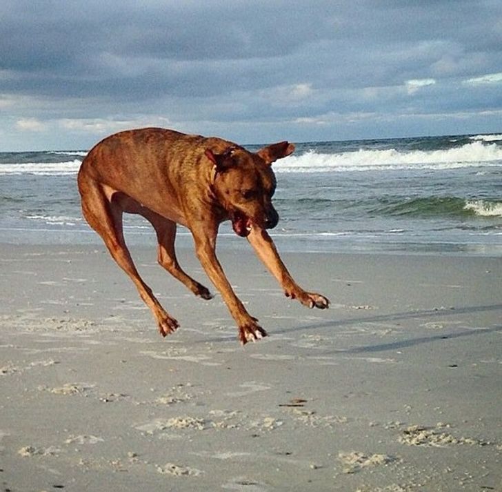 d2211e582eb68f7b464985418b