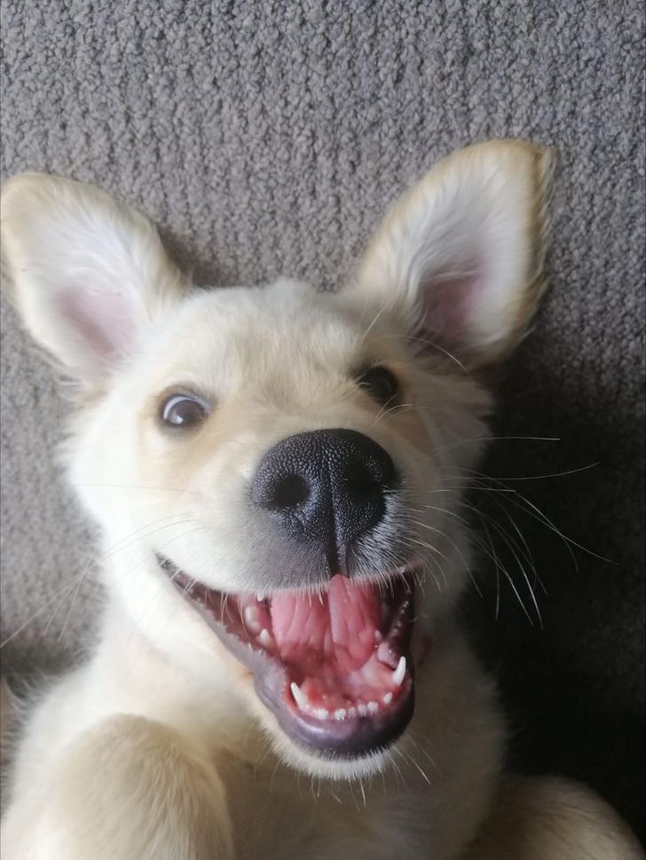 d229545796b681a9da3d6f519e