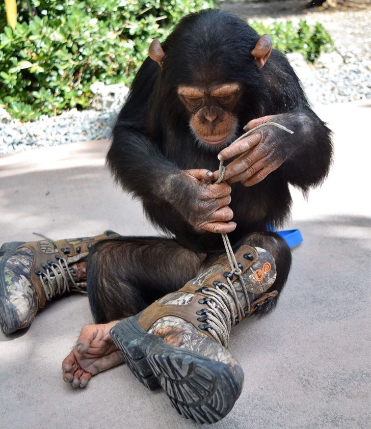 d22d3159c199173c718c3d423e