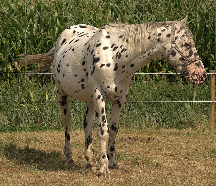 d22d9a5f3f9c40ed68253f9753