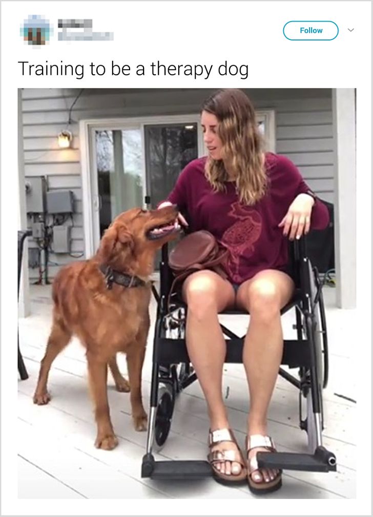 d22f8954e5a60201b93c1d4088