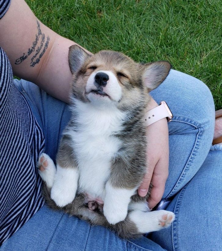 d23d41508b8708354da2d3fed4