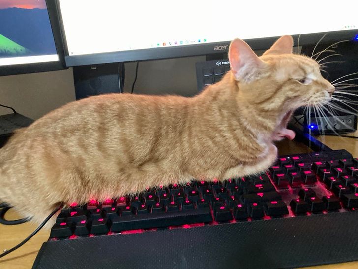 d241fc5e368d0bb27a2afad781 d241fc5e368d0bb27a2afad781