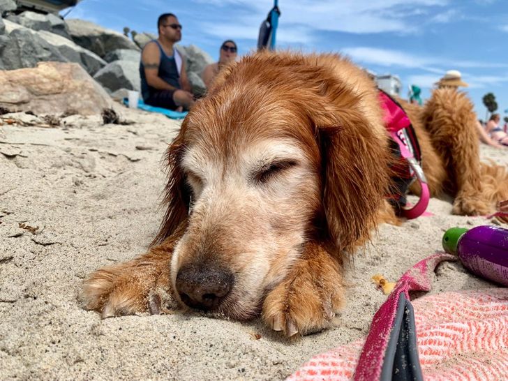 d24db7508c8fc29597133c1a12