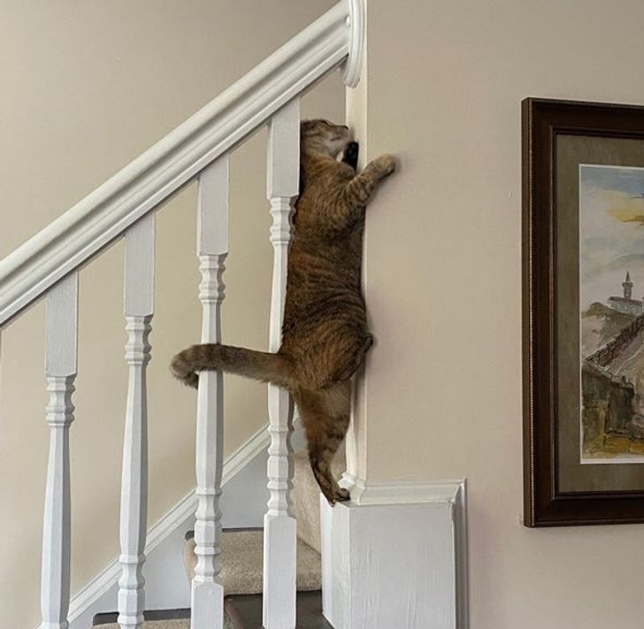 d24e755b0683e62b0418ffa704