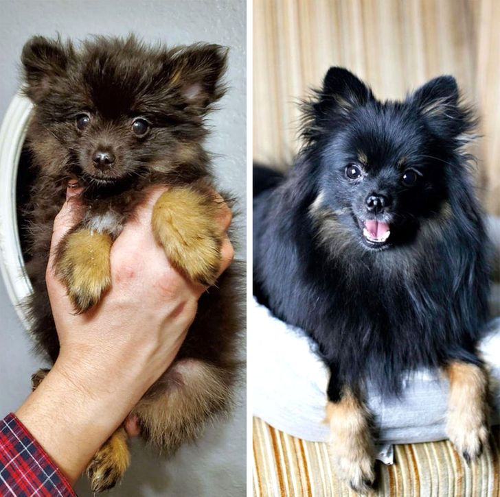 d24f235bfe9475b8e7ea1f28b4