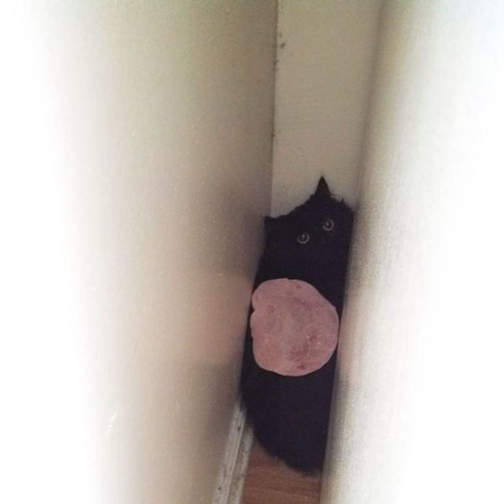 d2510e50dbac78e2b842f5a1e3