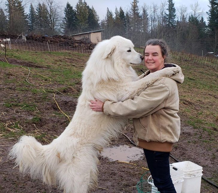 d25ea05a4087150e0611b60dde